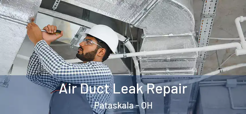  Air Duct Leak Repair Pataskala - OH