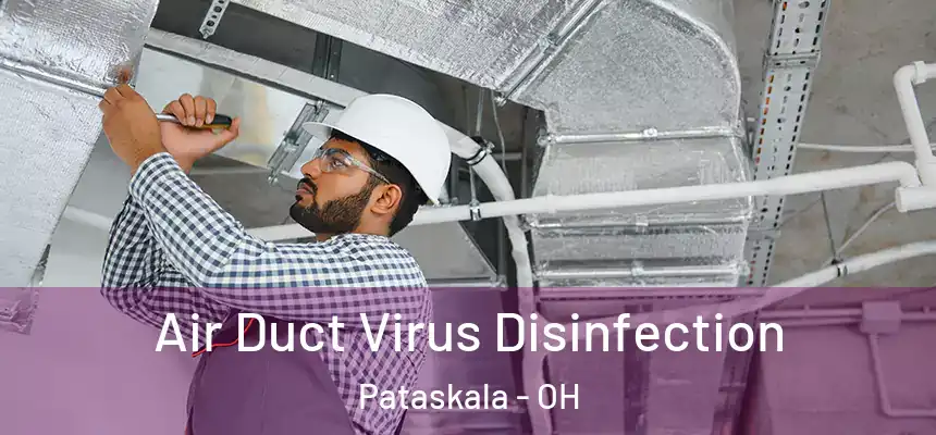  Air Duct Virus Disinfection Pataskala - OH