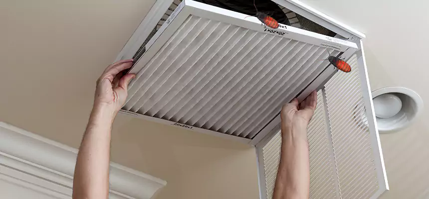 Preventive Cockroach-Proofing for Ducts in Pataskala