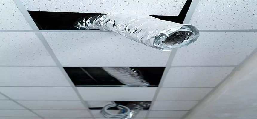 Our Air Duct Pet Hair Removal Services in Pataskala, OH