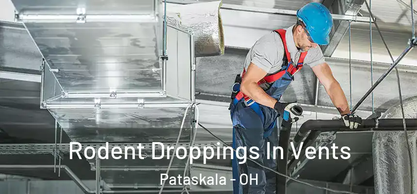  Rodent Droppings In Vents Pataskala - OH