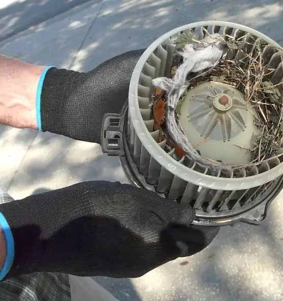 About Air Duct Mice Removal in Pataskala, OH