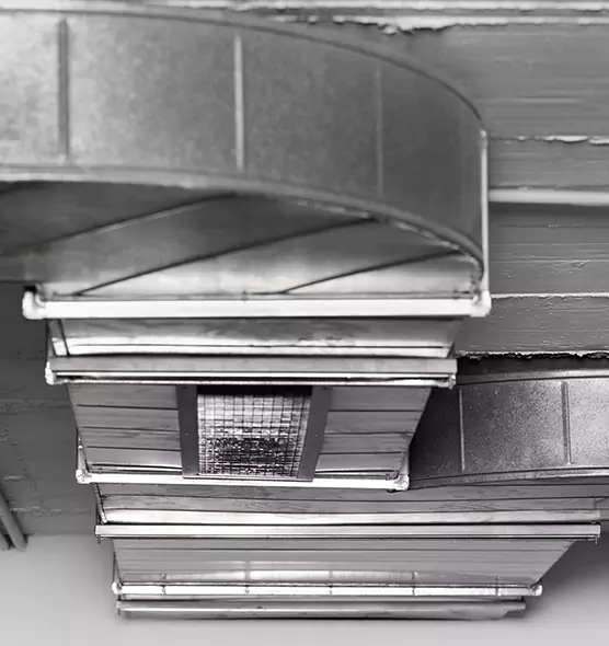 Professional Air Duct Pest Removal in Pataskala, OH