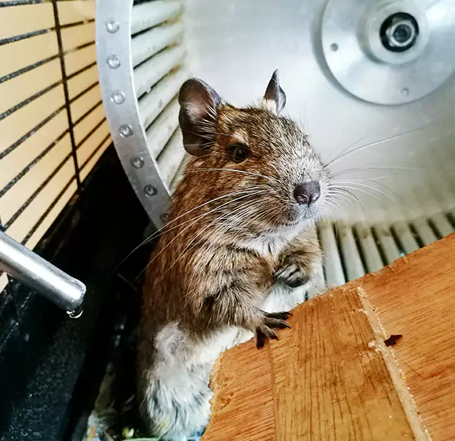 Why Homeowners & Businesses Trust Us Pataskala, OH?